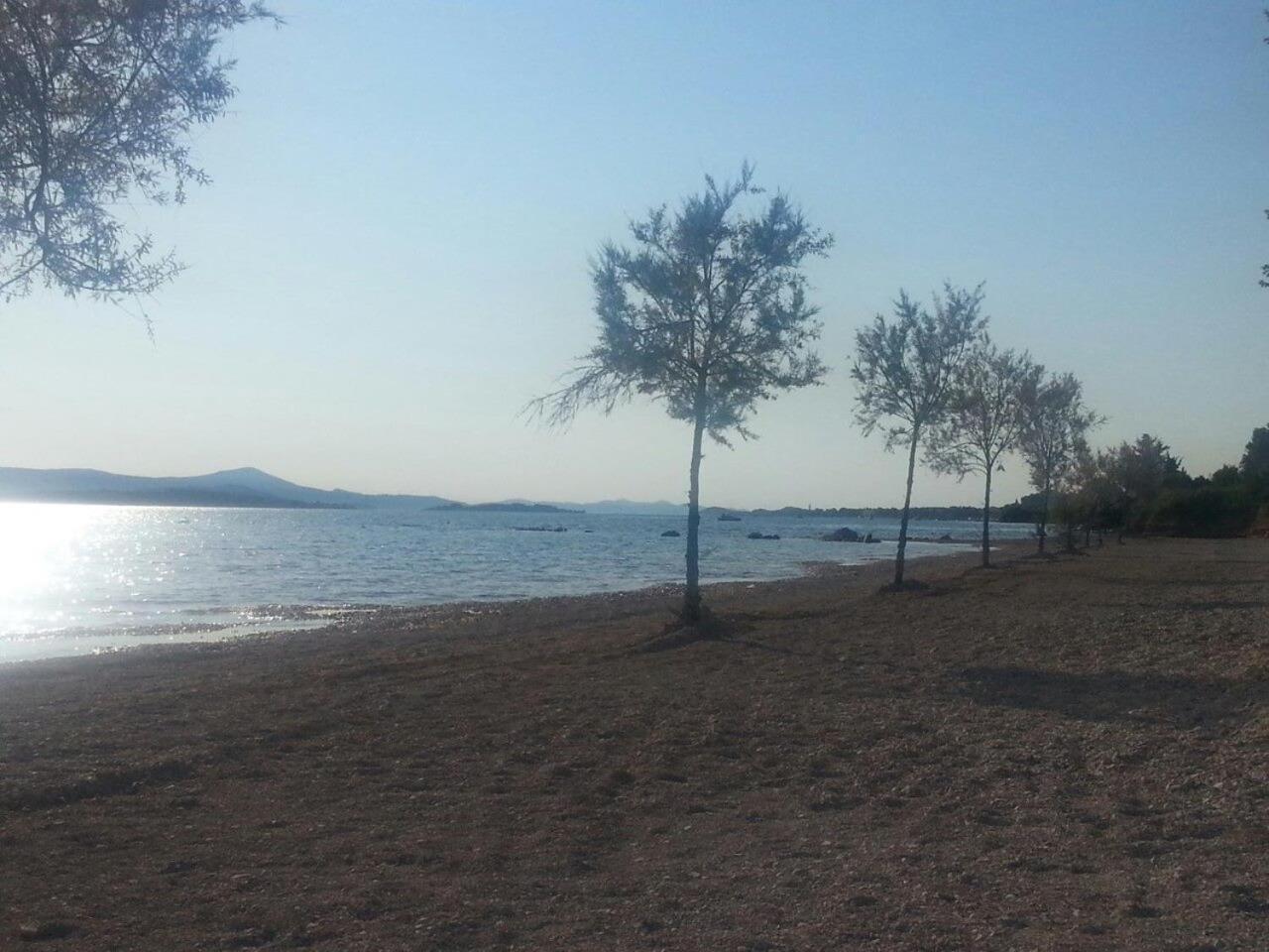 Family Apartment B&B Biograd Na Moru Esterno foto