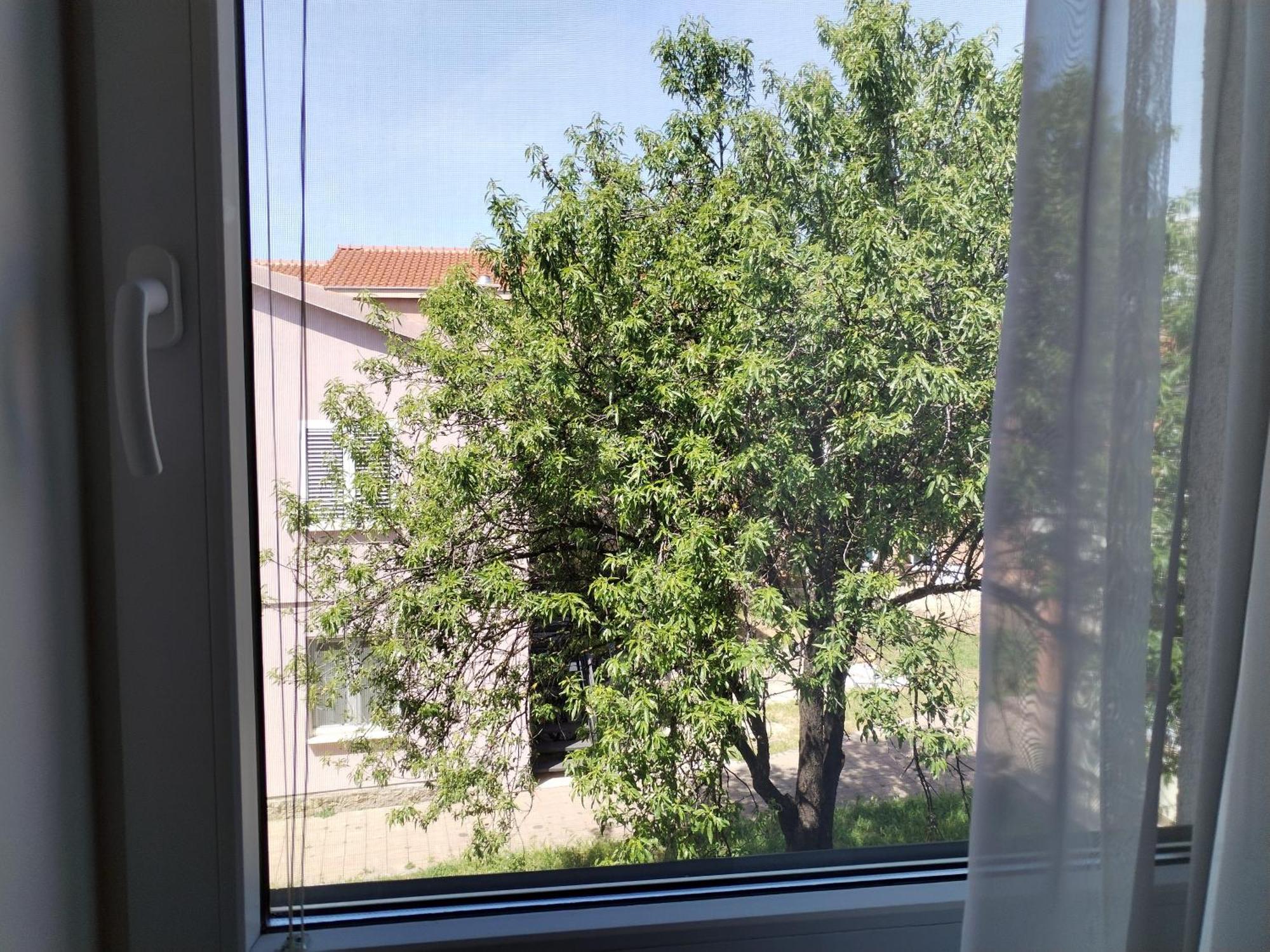 Family Apartment B&B Biograd Na Moru Esterno foto