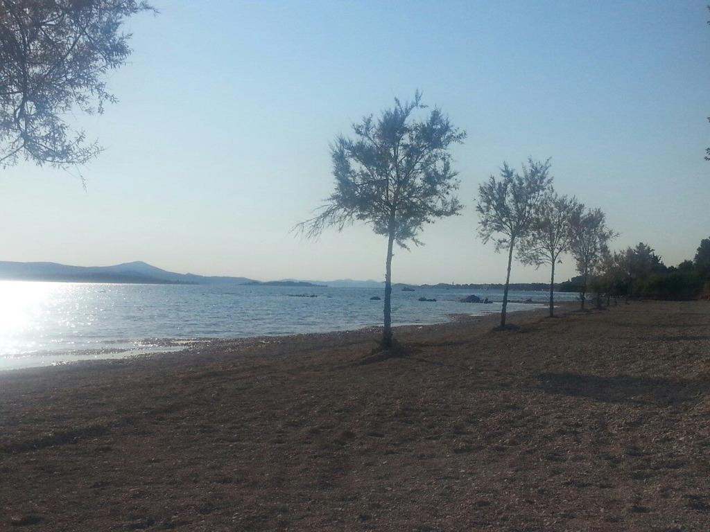 Family Apartment B&B Biograd Na Moru Esterno foto